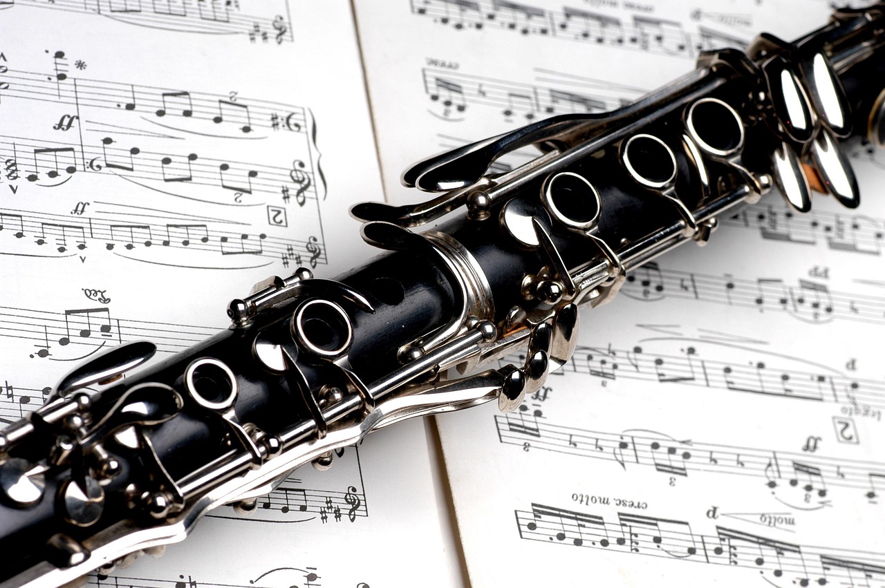 Lire la suite à propos de l’article 3 Choses à savoir pour bien choisir un centre de clarinette